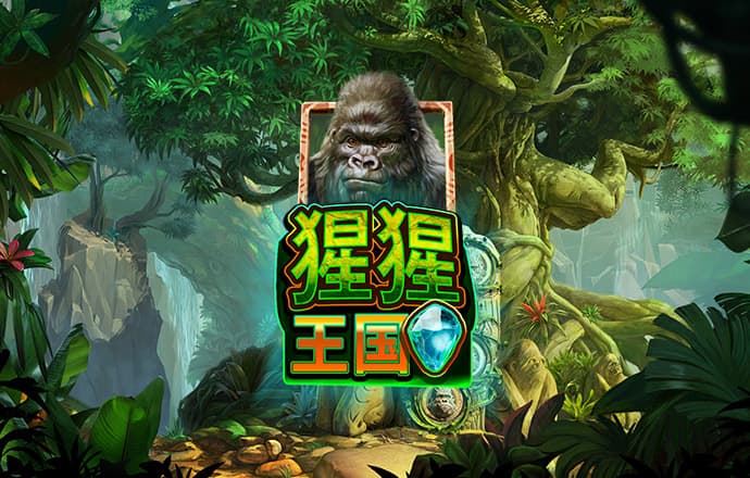 公海彩船app官方入口